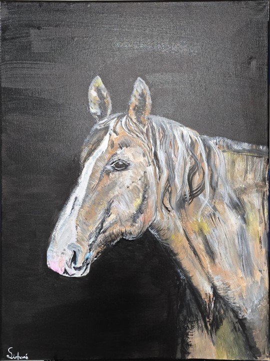 Therapy Horse - Simoné